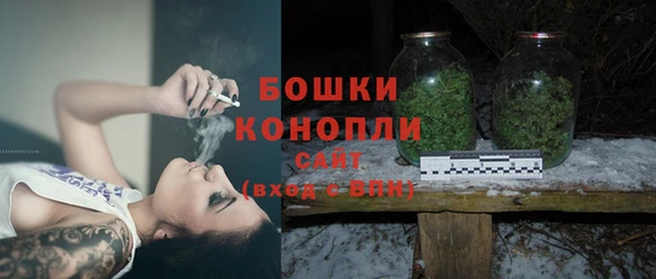 молекула духа Зеленодольск