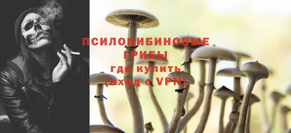 молекула духа Зеленодольск